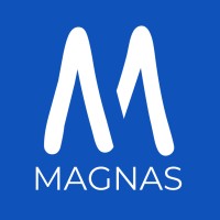 Magnas Corp. logo - Similar company to Digitechrg