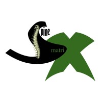 3D Spine Matrix Biotechnology logo - Similar company to 3D Bioprinting Solutions