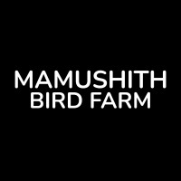 MAMUSHITH BIRD FARM logo - Similar company to Mamushith Tech World