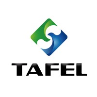 塔菲尔 TAFEL logo - Similar company to Bst Power (Shenzhen) Limited