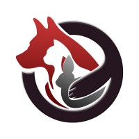 Peepsipi logo - Similar company to Kidsthatcode