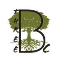 Three BC logo - Similar company to Aerial Ethos
