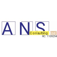 ANS CONSULTING LTD. logo - Similar company to Ans Construction