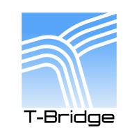 T-Bridge Consulting and solutions logo - Similar company to Inferow