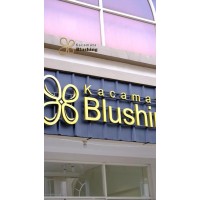 Blushing Vision Retailindo logo - Similar company to Ez Pickup