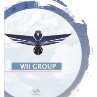 WII GROUP logo - Similar company to Wiigroup