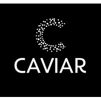 Caviar Consultores logo - Similar company to Zigmaz.Com