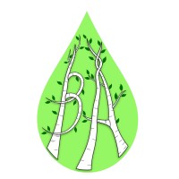 BirkeAkademie logo - Similar company to Intervalid Gmbh | Isms & Dsms Software