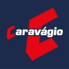 Comércio de Combustíveis Caravágio Ltda logo - Similar company to Rodocap Comércio E Representações Ltda