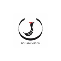 Picus Advisors Ltd logo - Similar company to Pagoda Logistics