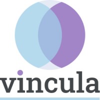 Vincula logo - Similar company to Injeplan Componentes