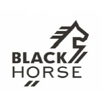 Black Horse Sp. z o. o. logo - Similar company to Equidefense