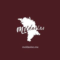 Moldavino S. de R.L. de C.V. logo - Similar company to Eco Wine Of Moldova