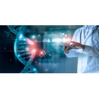 Biomedical Engineering Group logo - Similar company to Biomedical Engineering And Bioinspired Technologies Research Center (Btrc)