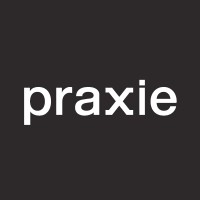 Praxie logo - Similar company to Braincaz