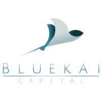 Bluekai Capital logo - Similar company to Talent Capital