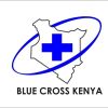 Blue Cross,Kisumu Kenya logo - Similar company to Kisumu Action Disability Development Network - Kenya