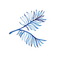Two Bunch Palms logo - Similar company to We Care Spa