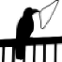 Clever Crow Consulting Llc