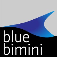 Blue Bimini logo - Similar company to Sidekick Solutions, Llc