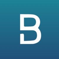Brio Portfolio Management logo - Similar company to Itsitio Group