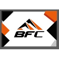 Bfc Masterbatch logo - Similar company to L'Image D'Or