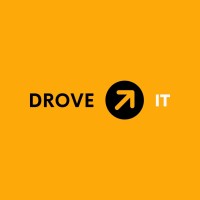 DROVEit Corporation logo - Similar company to Babelway