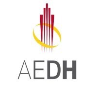 Jóvenes AEDH- Asociación Española de Directores de Hotel logo - Similar company to Stratechgy - Business Intelligence