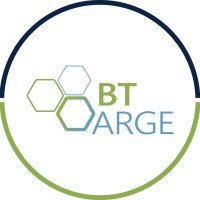 BTARGE logo - Similar company to Nspsolutions Llc