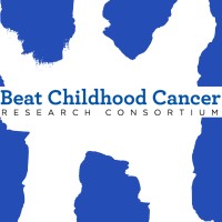 Beat Childhood Cancer Research Consortium logo - Similar company to Siopen Research Network