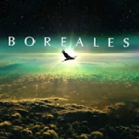 Boreales logo - Similar company to Flow Consultancy