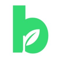 Boquila logo - Similar company to Red Cts-Chile
