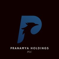 Pranamya Holdings PLC logo - Similar company to Techtoasters