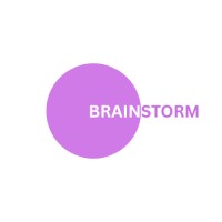 Brainstorm Solution logo - Similar company to Brainstorm Technologies  (Smc)