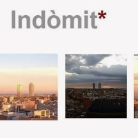 Indomit (International Domestic Items SL) logo - Similar company to Comercial Flexico Sa