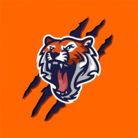 Tiger Imports