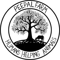 Peepal Farm logo - Similar company to Ipat Solutions