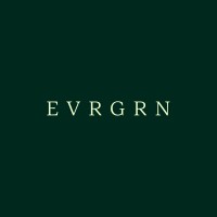 EVRGRN logo - Similar company to A1.Studio