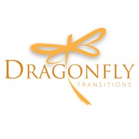 Dragonfly Transitions logo - Similar company to Arete Transitions