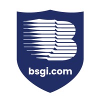 Berkshire Systems Group Inc (BSGI) logo - Similar company to Entech Engineering, Inc.