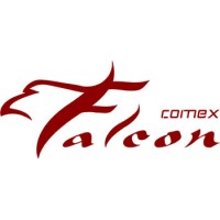 Falcon Comex logo - Similar company to Wg Comex E Cargo