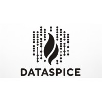 Dataspice LLC logo - Similar company to Fintelis
