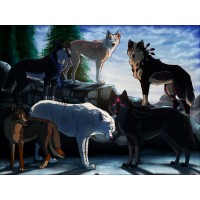 The Wolf Pack logo - Similar company to Superdogs
