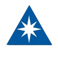 Dana Estrella logo - Similar company to Valmi ▪︎ Smith+Nephew Argentina