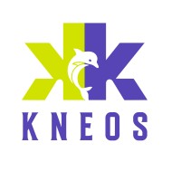 Kneos India logo - Similar company to Sarthi