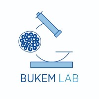 BukemLab logo - Similar company to Volitan Global