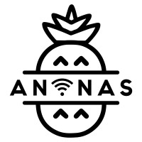ANANAS logo - Similar company to Sahftech - Lmm Communication
