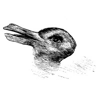 DuckRabbit Strategy logo - Similar company to Duckrabbit