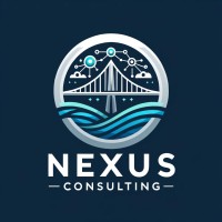 Nexus Consulting logo - Similar company to Mindshift As