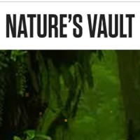 Natures Vault logo - Similar company to Nature'S Vault
